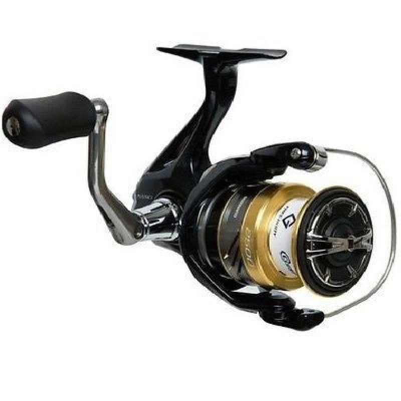 Shimano – Nasci