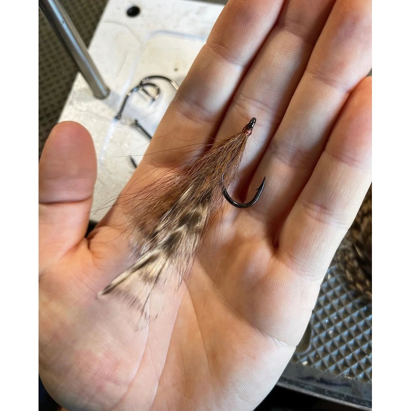 Mac Flies Cockroach