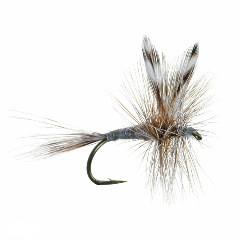 Umpqua Adams Fly