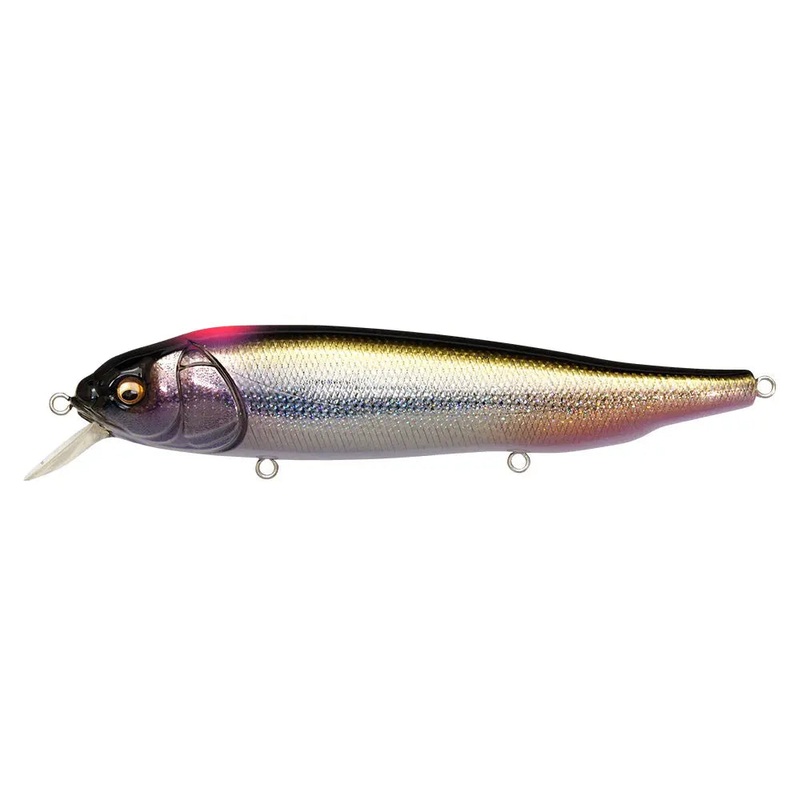 Megabass LATES FeedingWoofer