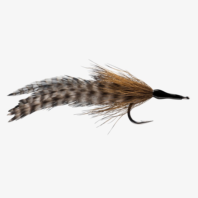 Cockroach – Rio Fly