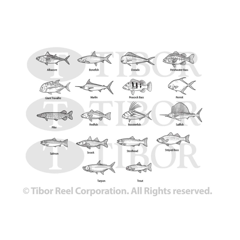 Tibor Custom Gamefish Engraving