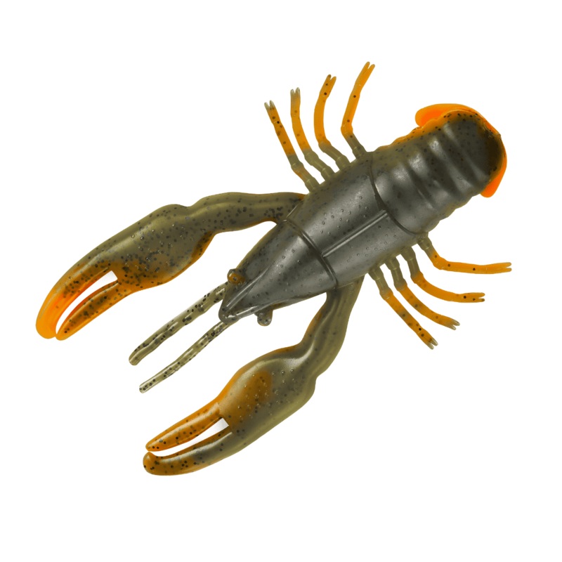 Yum Crawbug