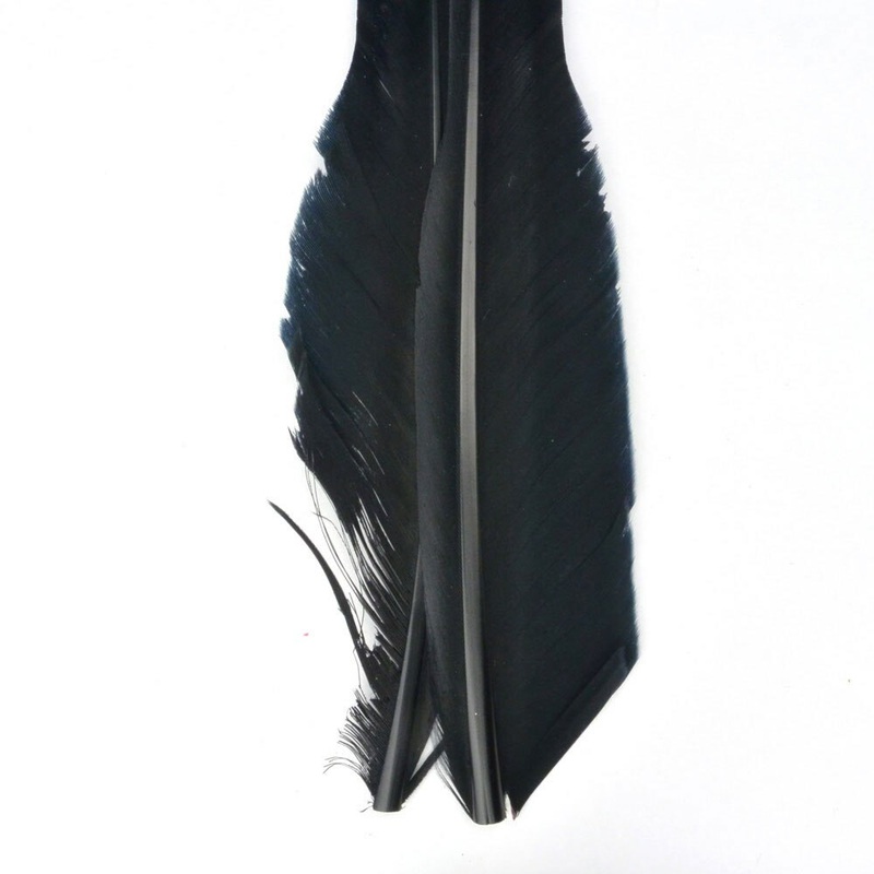 Nature’s Spirit Goose Quills