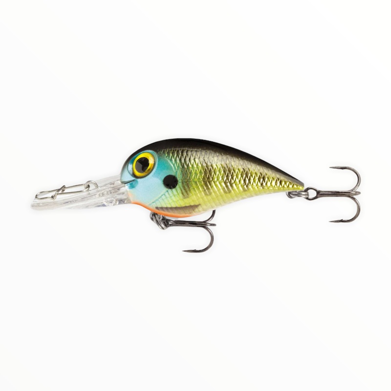 Storm Wiggle Wart MadFlash