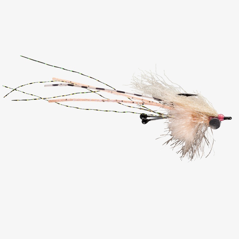 Rio Carpet Shrimp