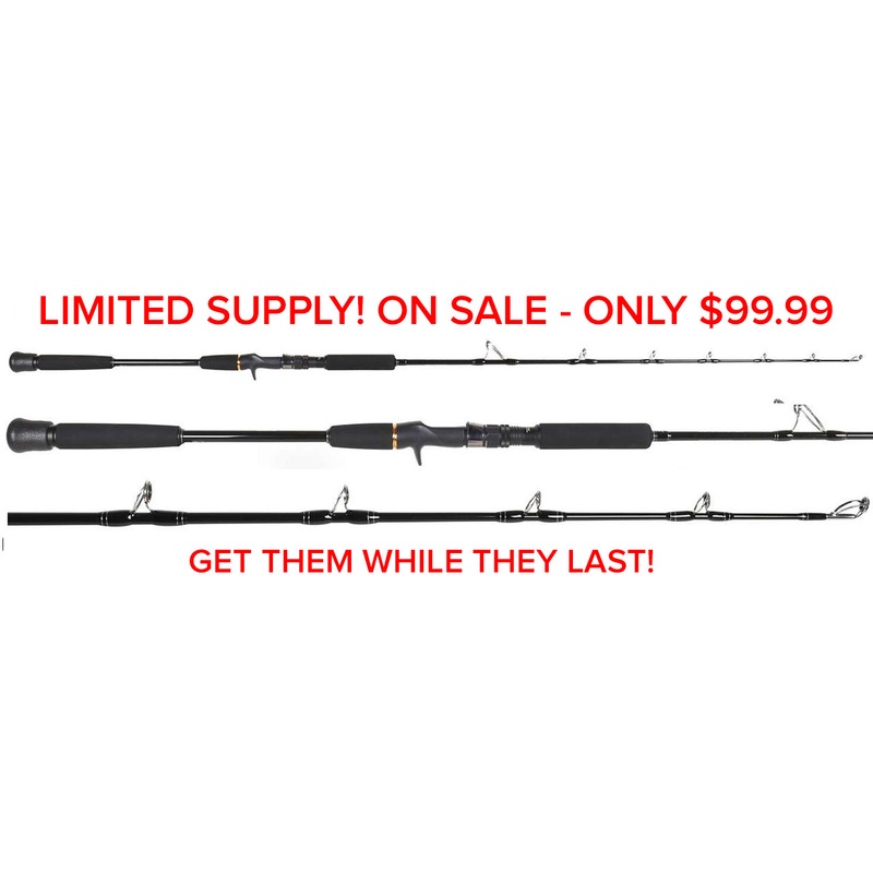 Centaur Constellation Conventional Jigging Rods