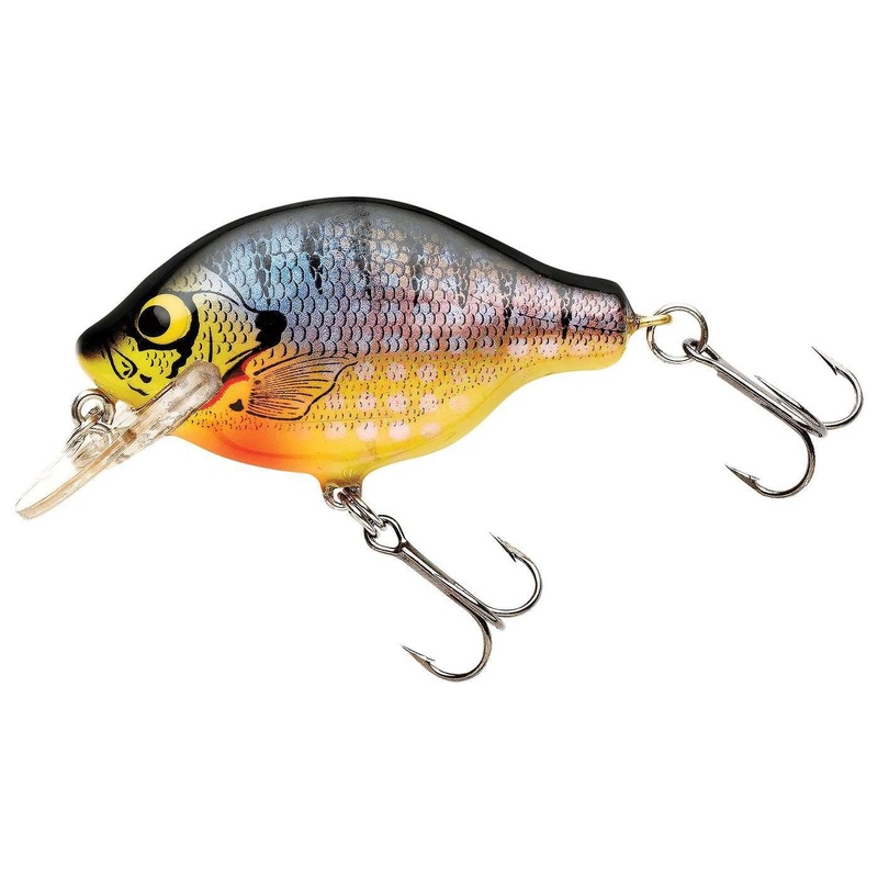 Bagley Small Fry