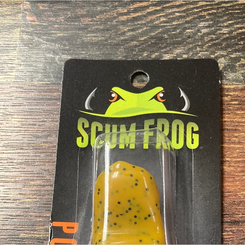 Scum Frog – Pumpkin Seed