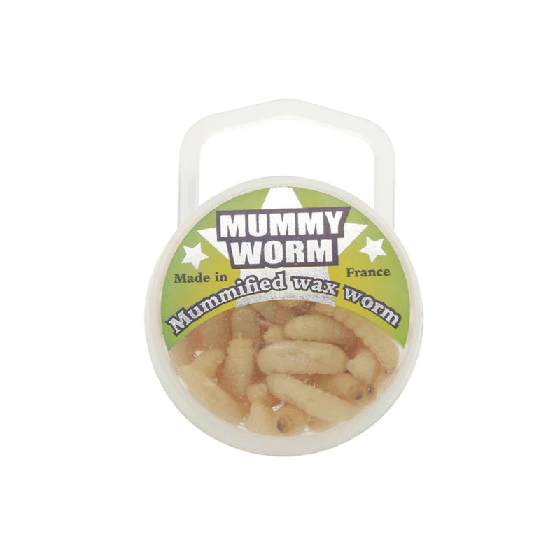 EUROTACKLE MUMMY WORM