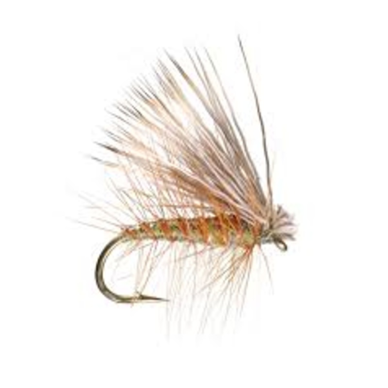 Umpqua Elk Hair Caddis
