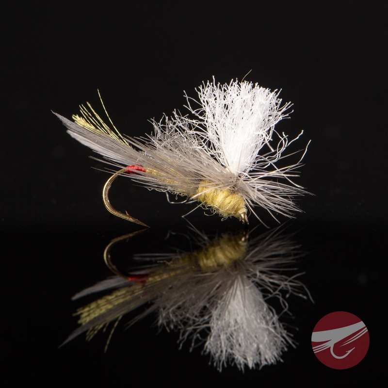 Goldie Hawn – MFC Fly