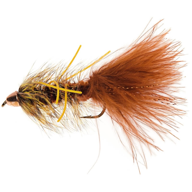 Autumn Splendor – Umpqua Fly
