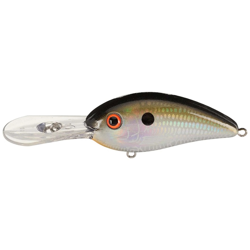 Bomber Fat Free Shad BD4 Gen 2