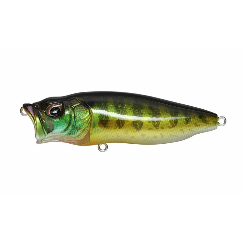 MEGABASS POPMAX