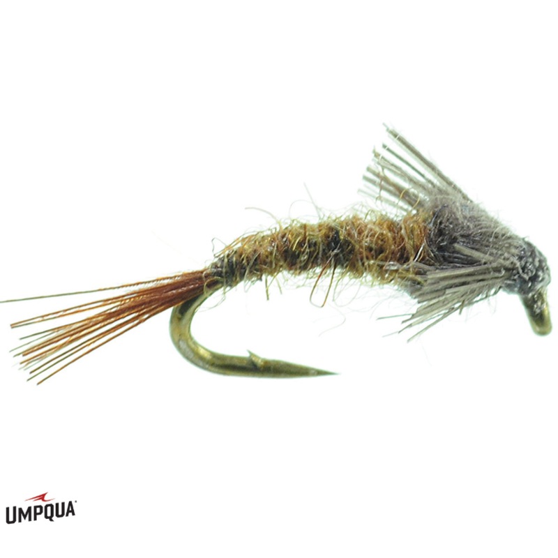Barr’s Emerger Wet – Umpqua Fly