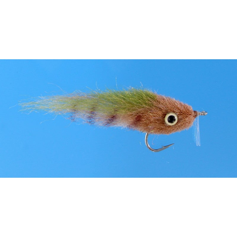 EP Everglades Special