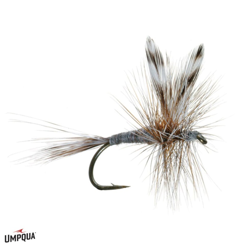 Adams – Umpqua Fly
