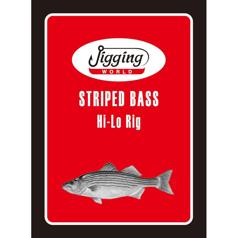 Jigging World Striped Bass Rigs