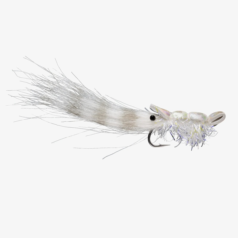 Rio Guido Shrimp