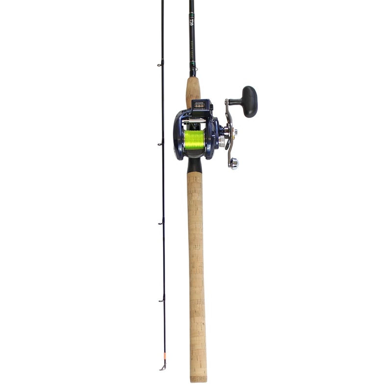 Daiwa Lexa Salmon Mooching Combo