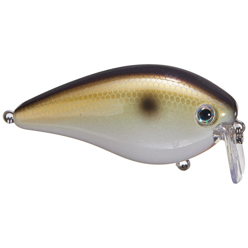 Strike King KVD 2.5 Wake Bait
