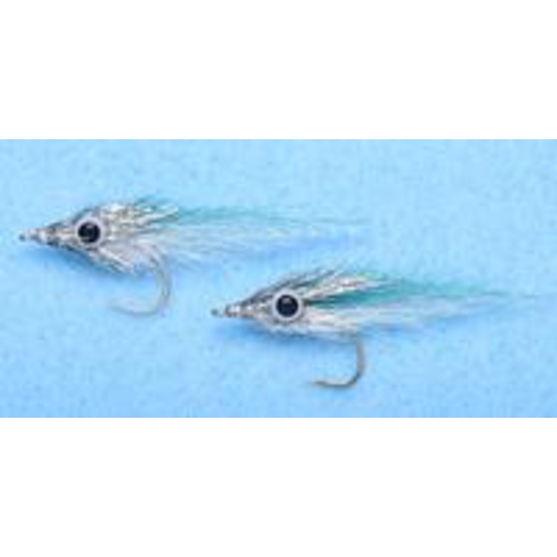 EP Micro Minnow