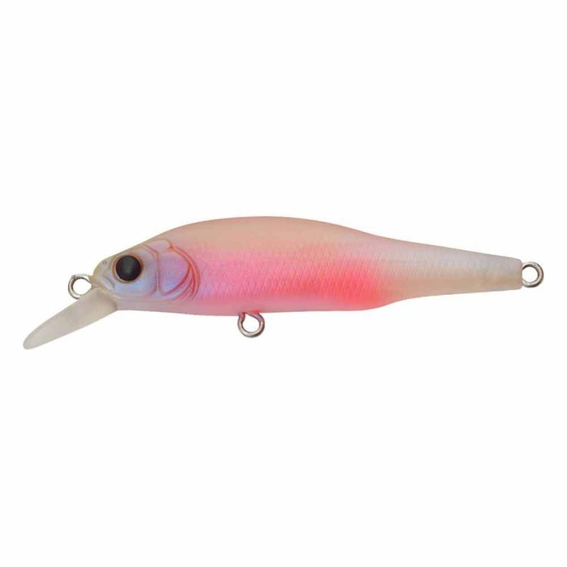 Megabass X80 Jr (BFS)