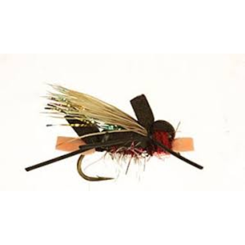 Umpqua Amy’s Ant
