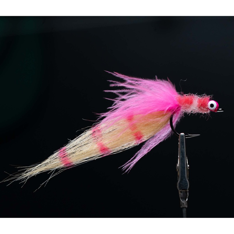 Zippy Flies Biscayne Bay Bubblegum