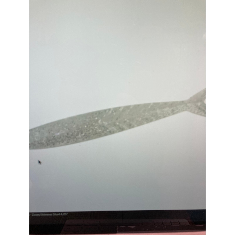 Zoom Shimmer Shad – Sight Flash