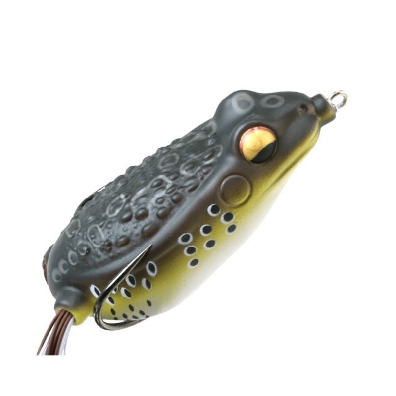 FishLab – Rattle Toad