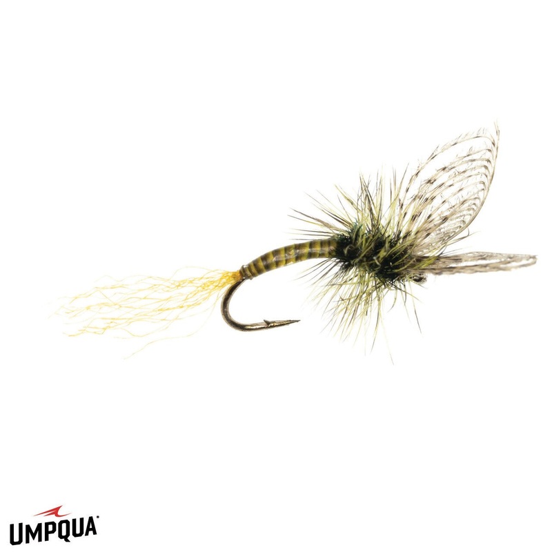 Maldo’s PMD Emerger – Umpqua Fly