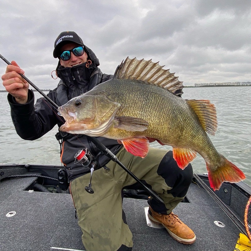 Predator Fishing in Germany with MV Guiding