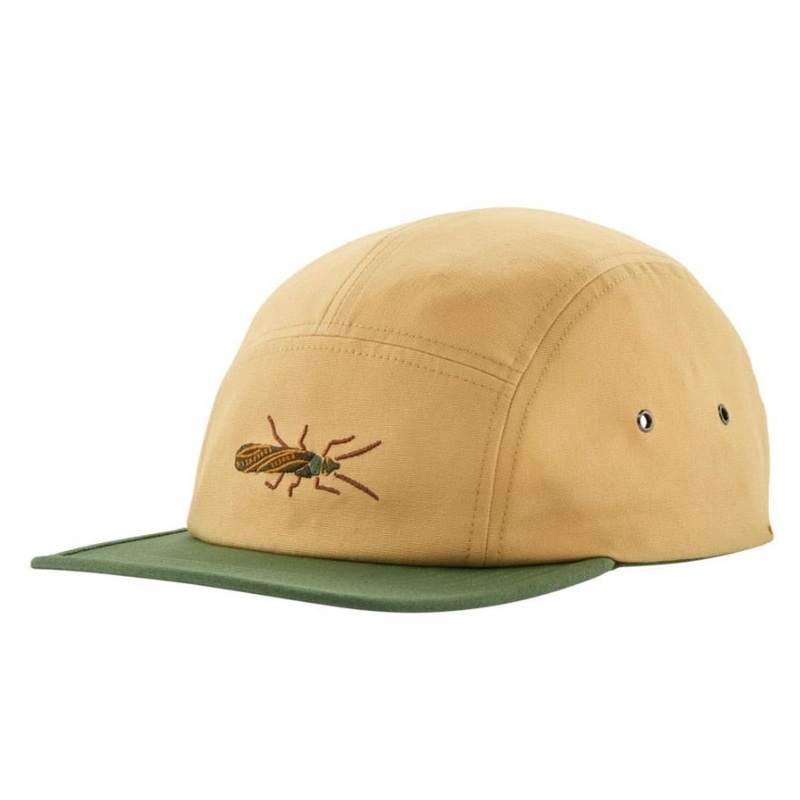 Patagonia P-6 Label Maclure Hat