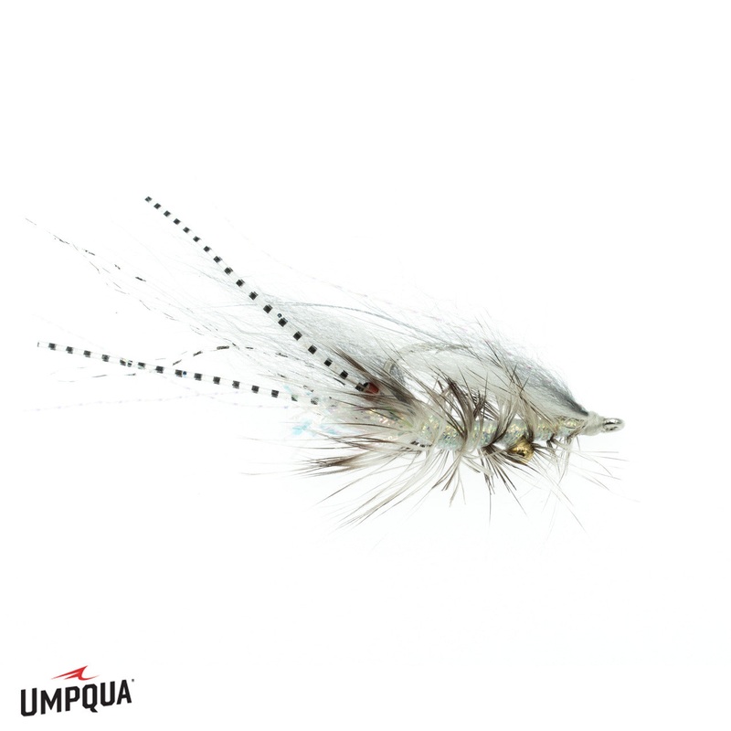 Umpqua Chewy’s Halo Shrimp
