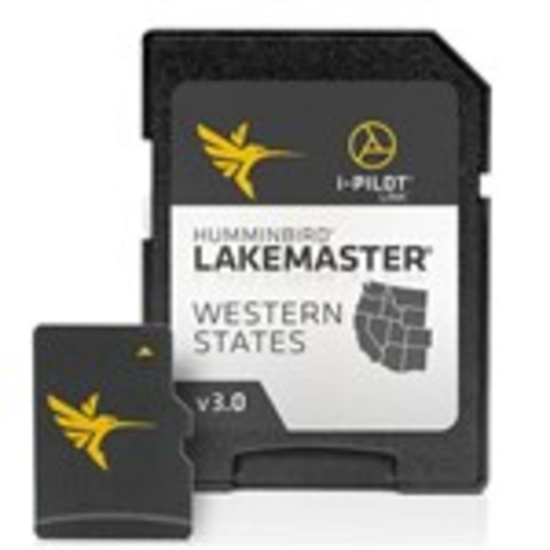 Lake master western chip