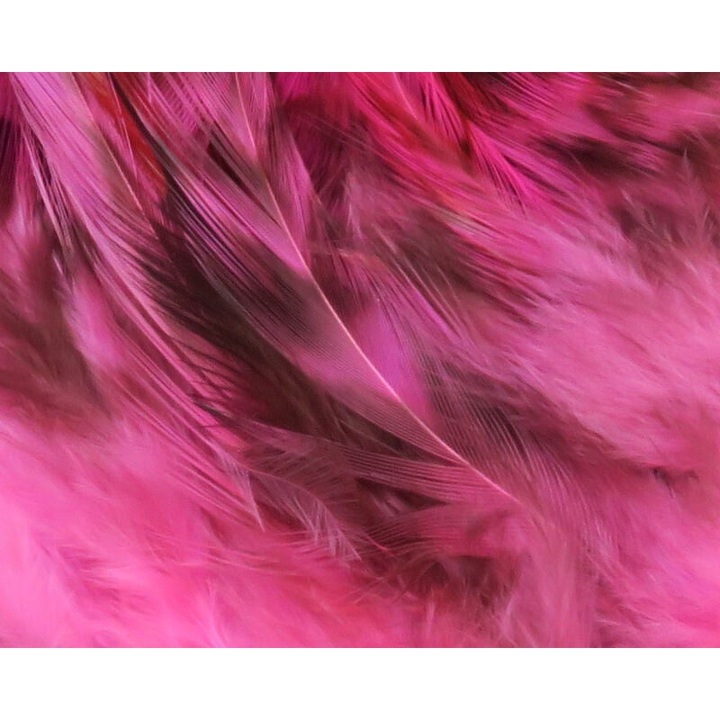 Strung 4-6 inch Grizzly Saddle Hackle
