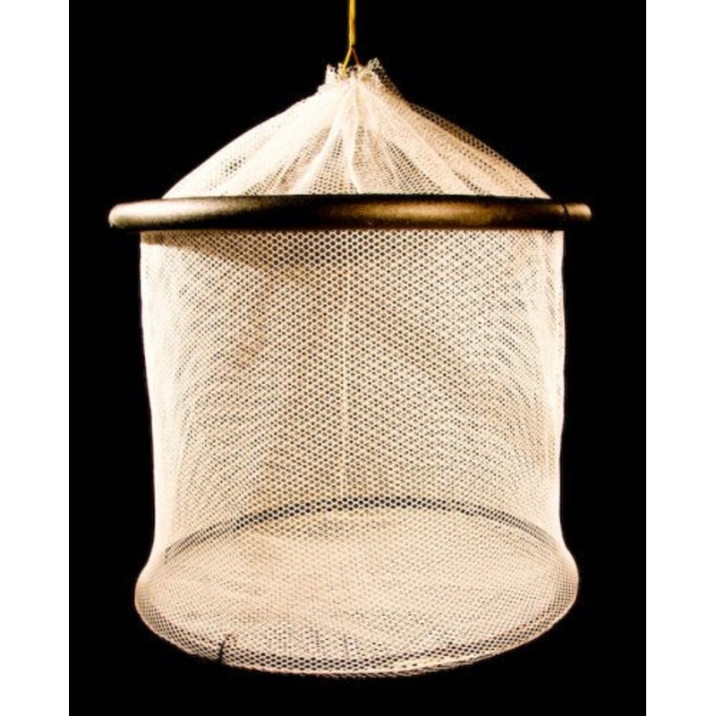 Blue Water Candy Bait Motel Bait Pens