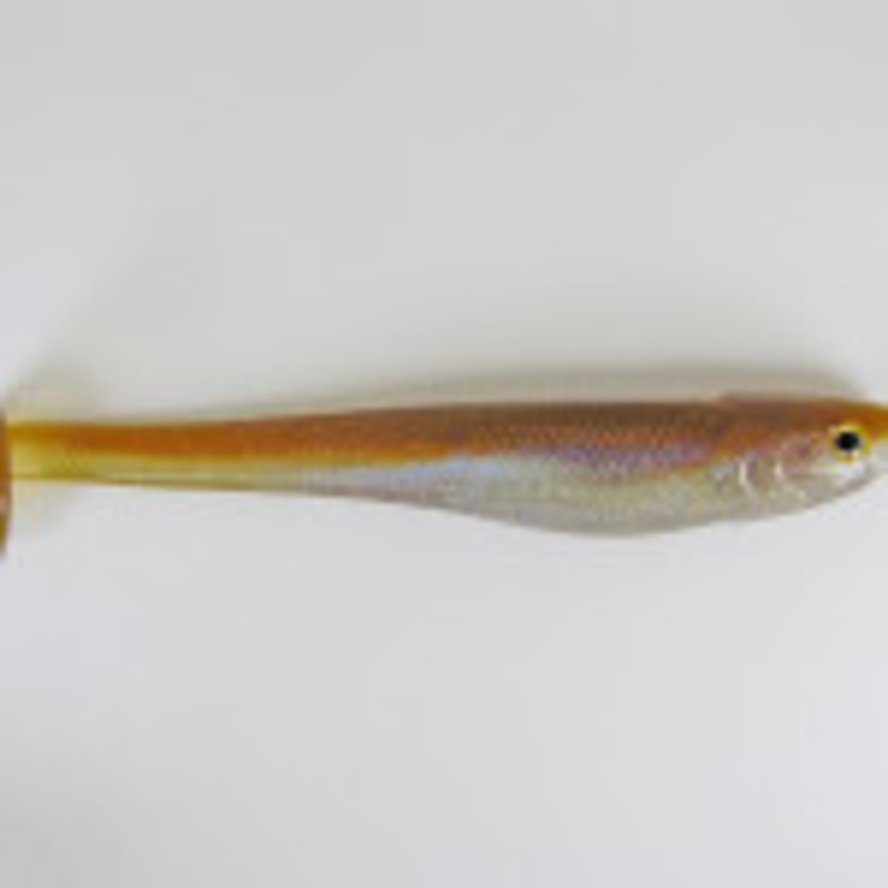 D&M Signature Swimbait