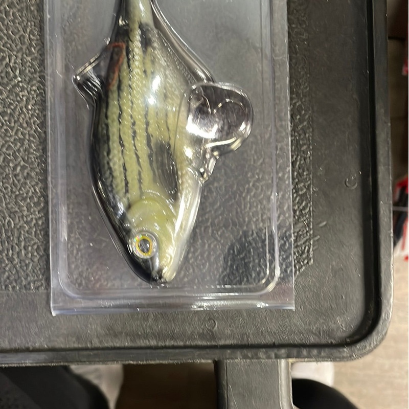 Smash Tech Swim Bait 6 Barfish