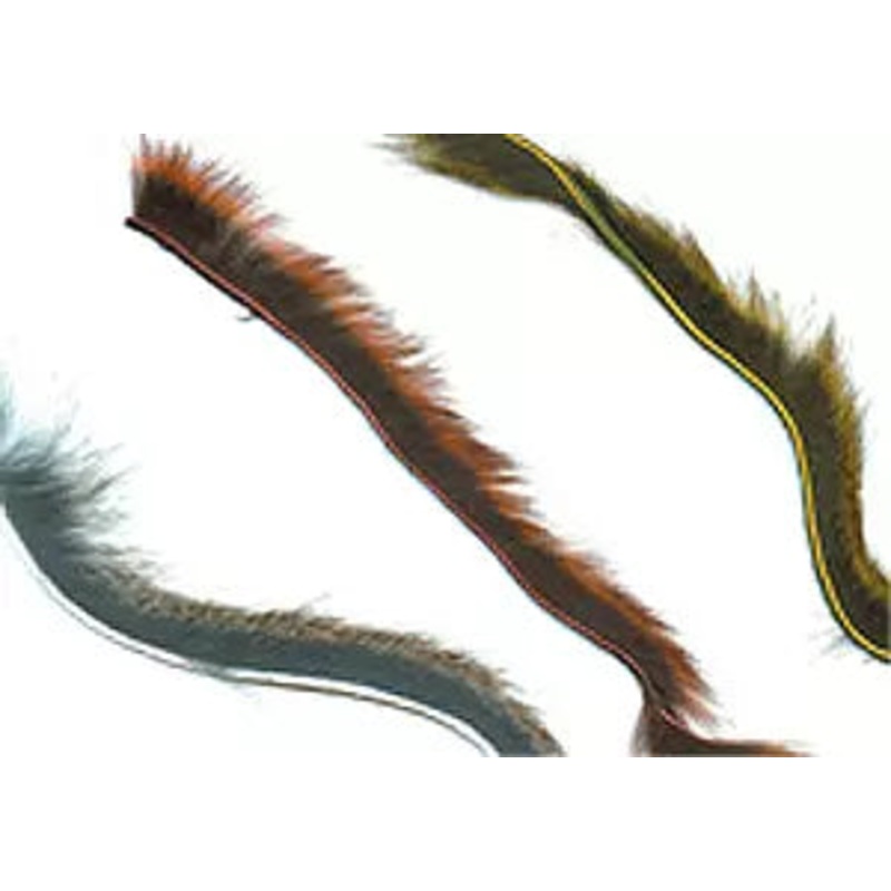 Pine Squirrel Zonker