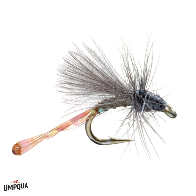 Morgan’s Midge – Umpqua Fly