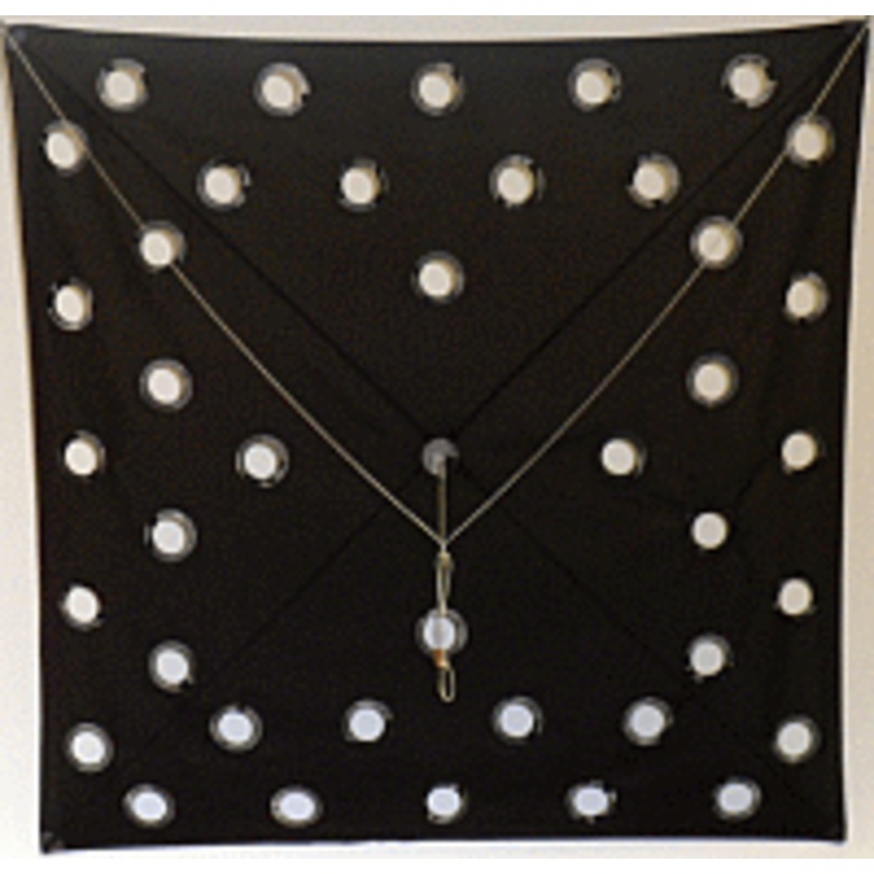 SFE Tournament Series Fishing Kite