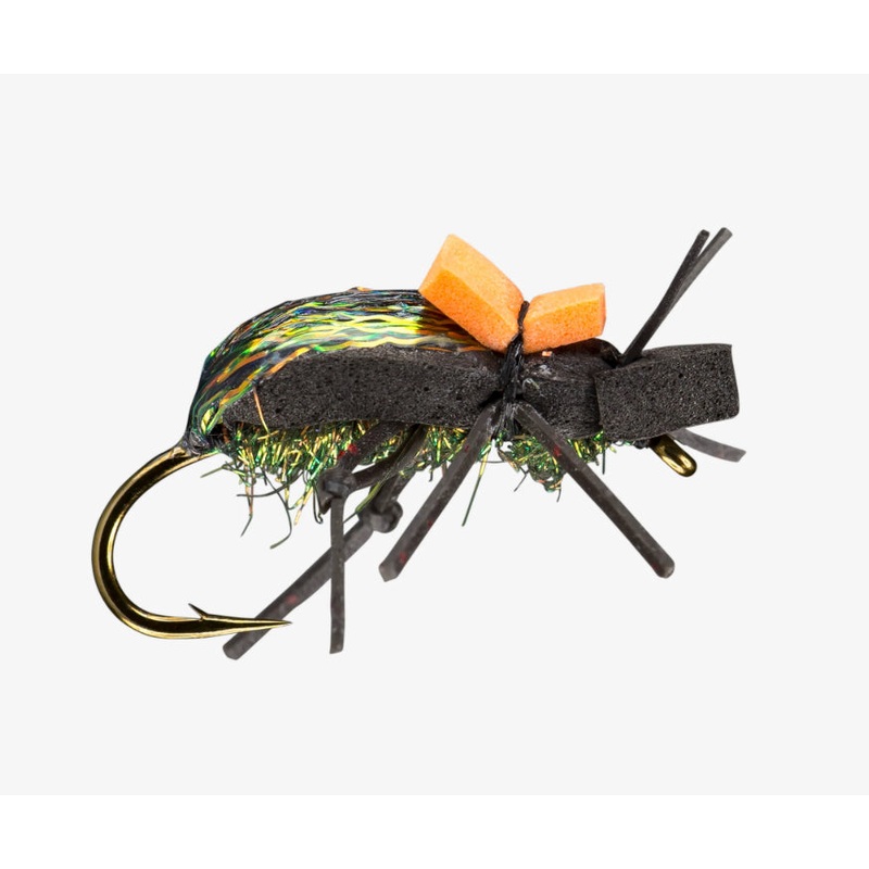 RIO Ground Beetle