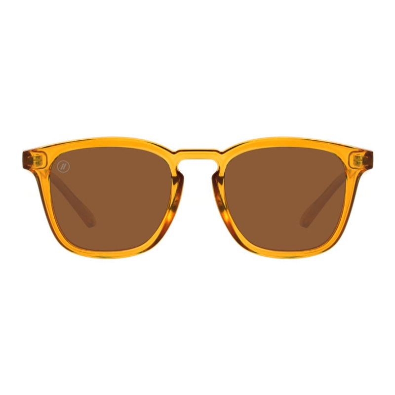 Blenders Amber Coast