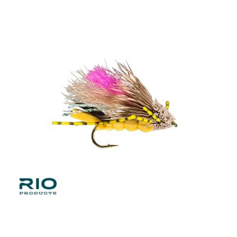 Tantrum – RIO Fly