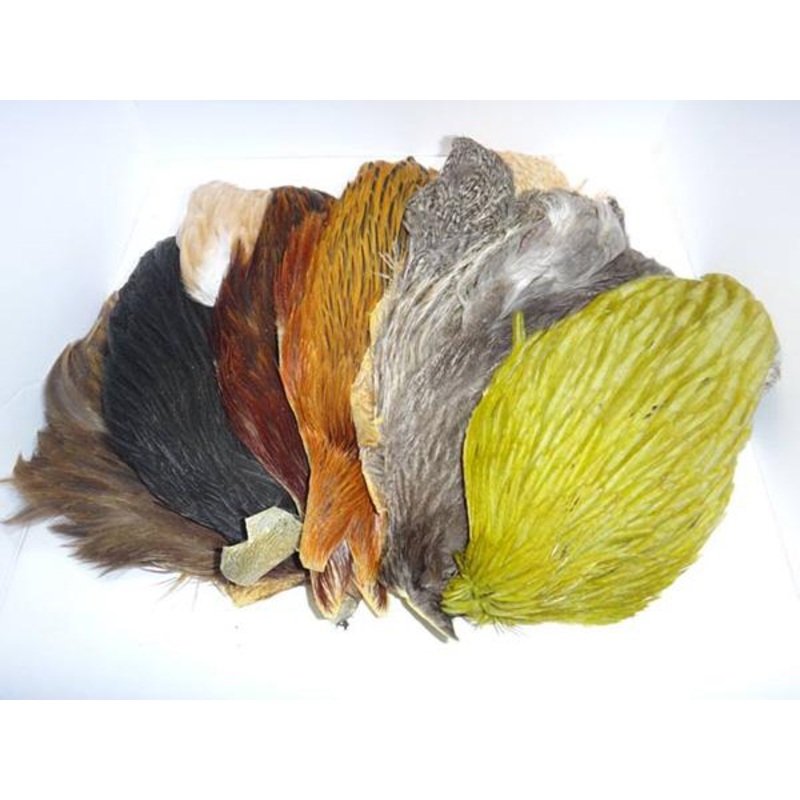 Whiting Farms 4 B’s Hen Cape