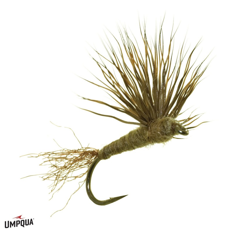 Sparkle Dun – Umpqua Fly