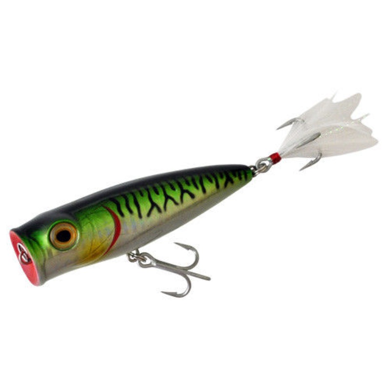 Tsunami Surface Popper 5″